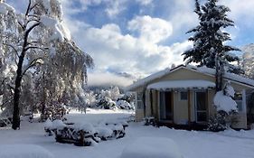 Tailor Made Tekapo Accommodation - Guesthouse&Hostel